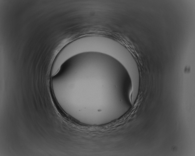 X0000095520003200801041233