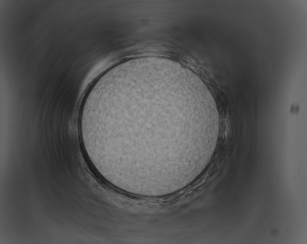 X0000095520004200801041233