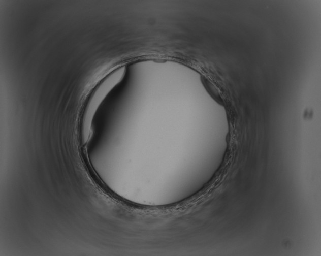 X0000095520005200801041233