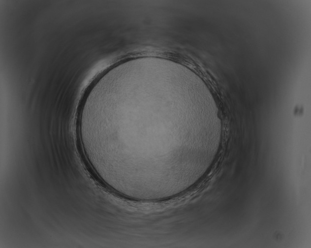 X0000095520006200801041233