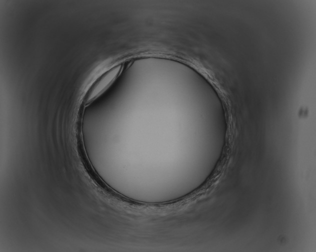 X0000095520007200801041233