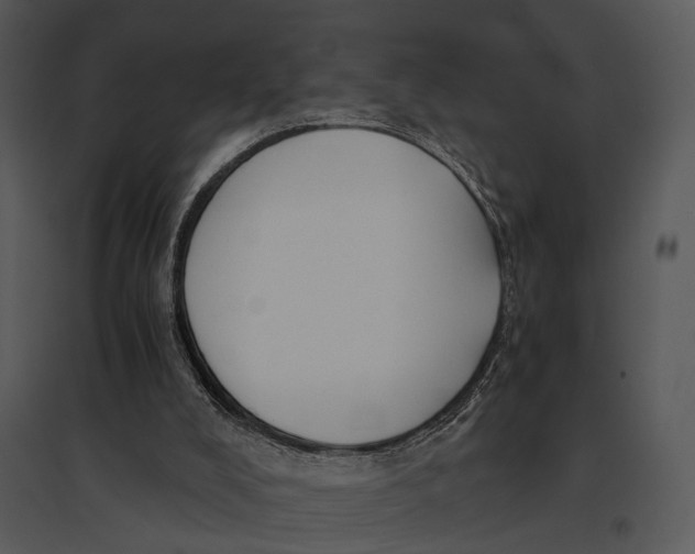 X0000095520008200801041233