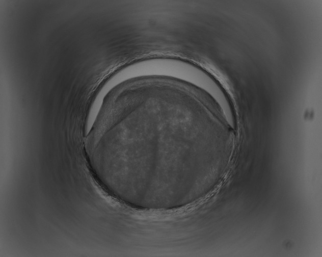 X0000095520009200801041233