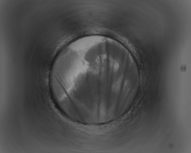 X0000095520010200801041233