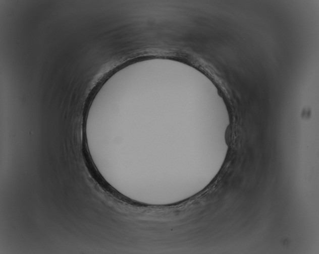 X0000095520011200801041233