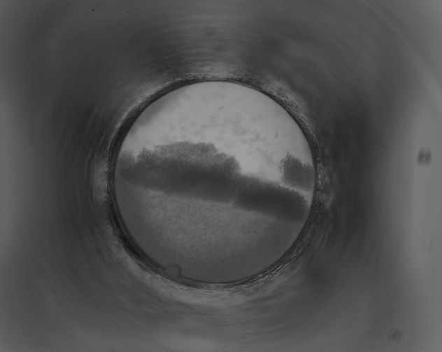 X0000095520012200801041233