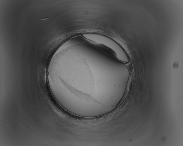 X0000095520013200801041233