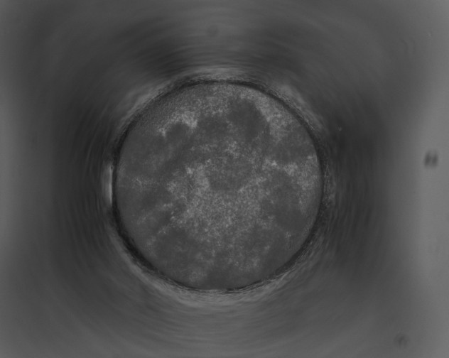 X0000095520014200801041233