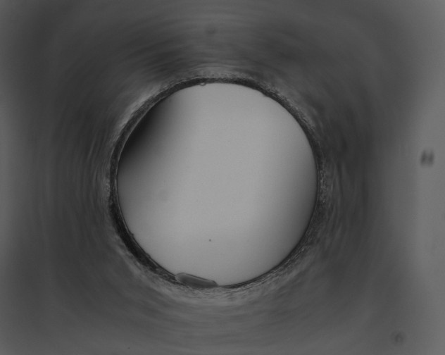 X0000095520015200801041233