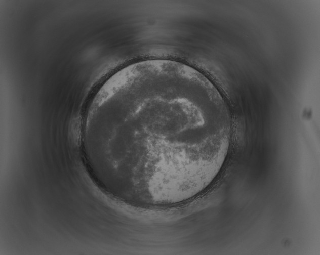 X0000095520016200801041233