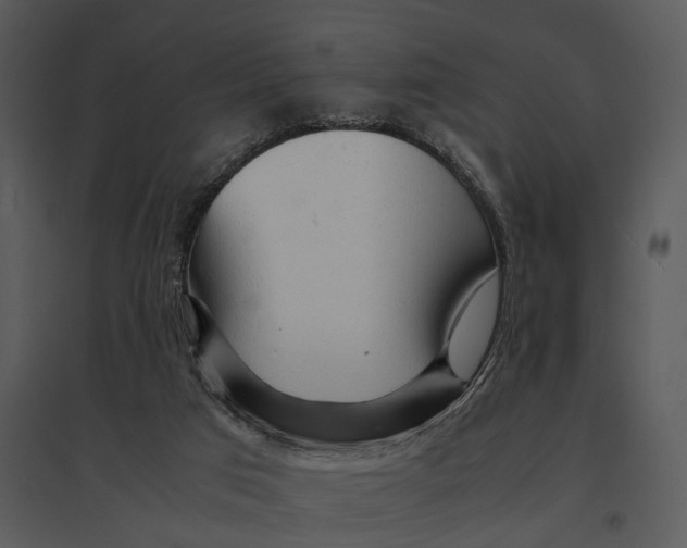 X0000095520017200801041233