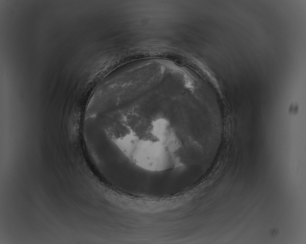 X0000095520018200801041233