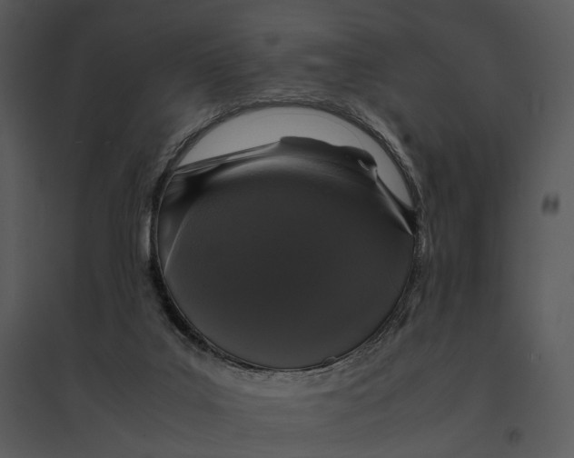 X0000095520019200801041233