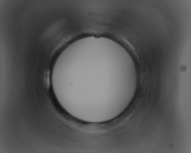 X0000095520020200801041233