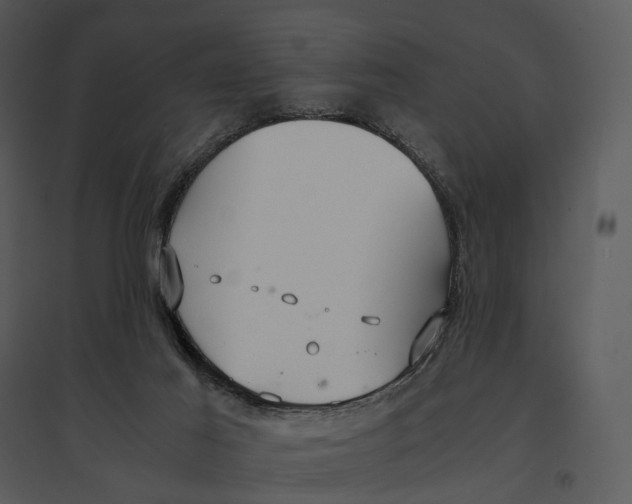 X0000095520021200801041233