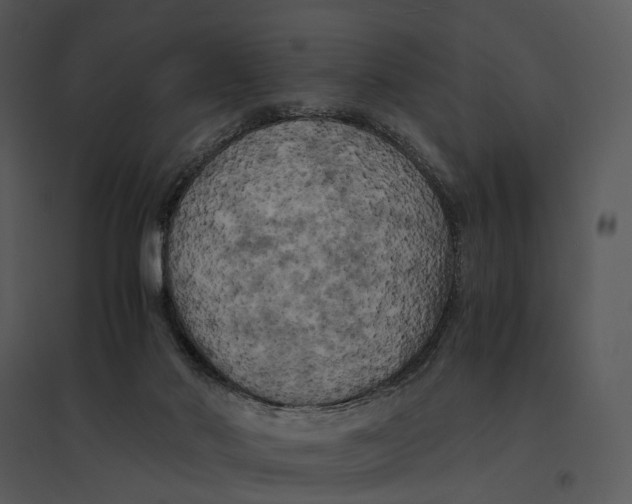 X0000095520022200801041233