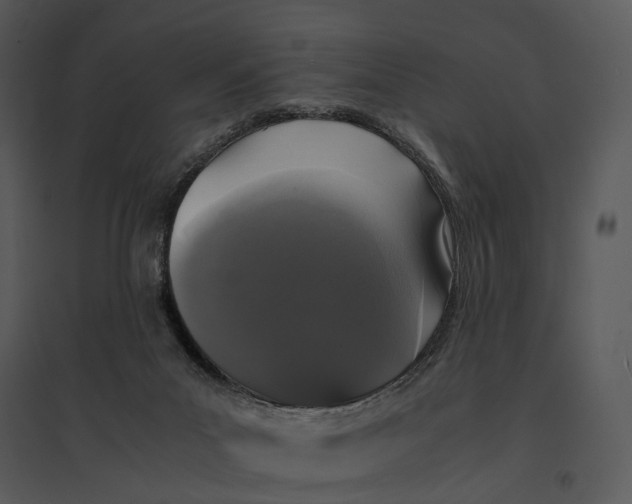 X0000095520023200801041233