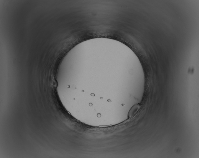 X0000095520025200801041233