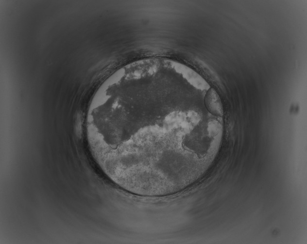 X0000095520026200801041233