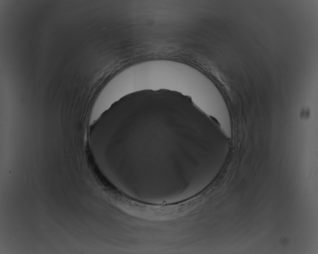 X0000095520027200801041233