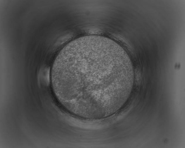 X0000095520028200801041233