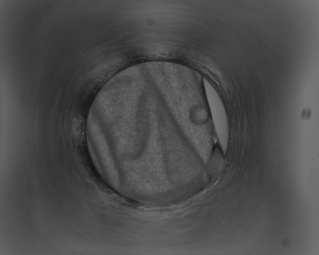 X0000095520029200801041233