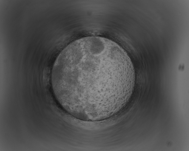 X0000095520030200801041233