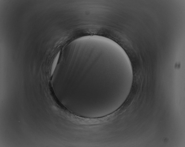 X0000095520031200801041233