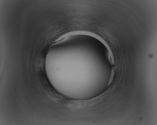 X0000095520033200801041233