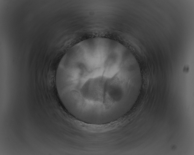 X0000095520034200801041233