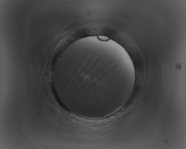 X0000095520035200801041233