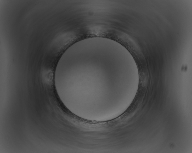 X0000095520036200801041233