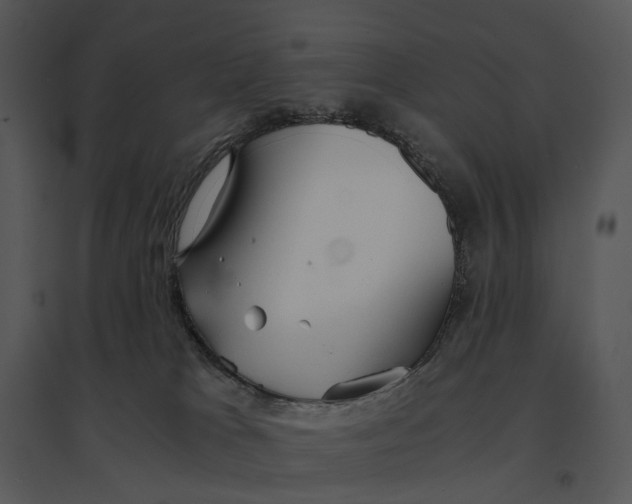 X0000095520037200801041233