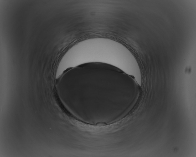 X0000095520039200801041233