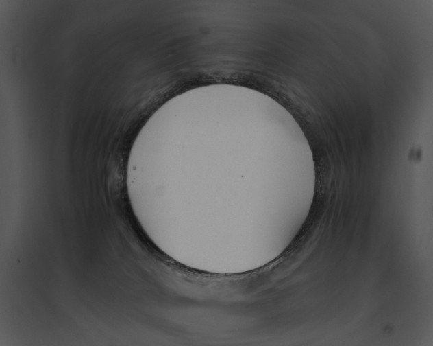 X0000095520040200801041233