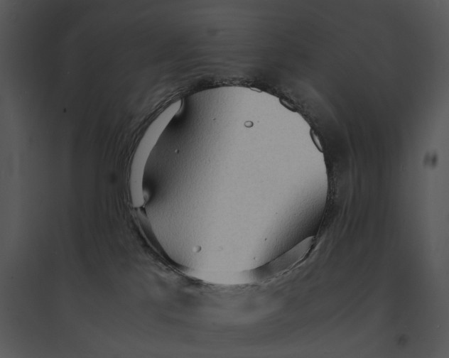 X0000095520041200801041233