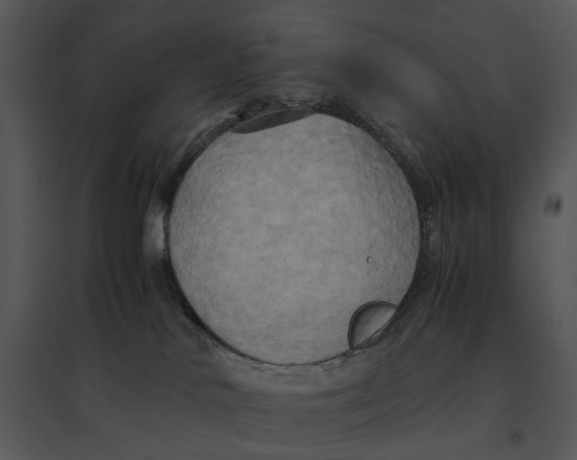 X0000095520042200801041233