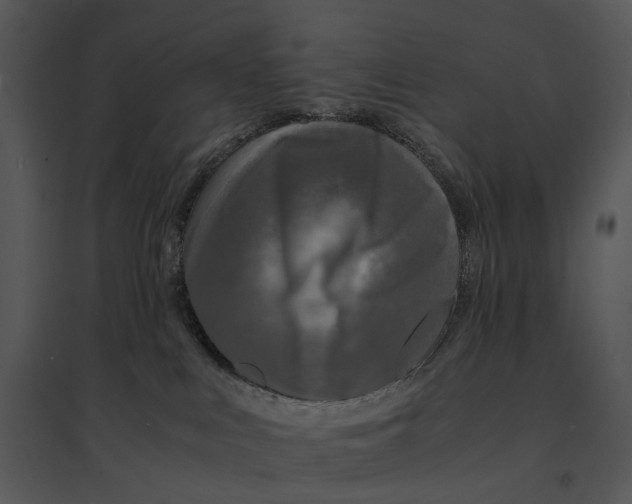 X0000095520043200801041233