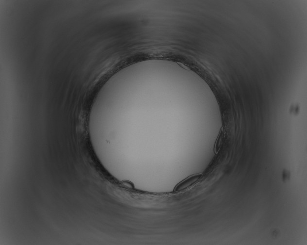 X0000095520044200801041233