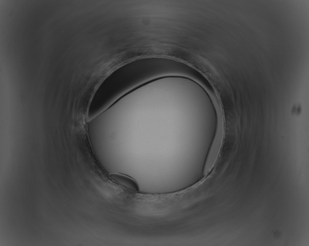 X0000095520045200801041233