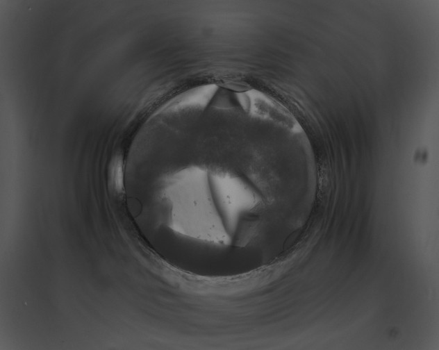 X0000095520046200801041233