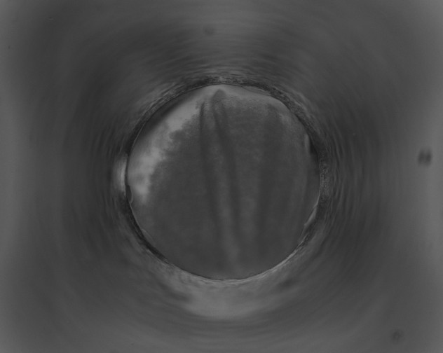 X0000095520047200801041233