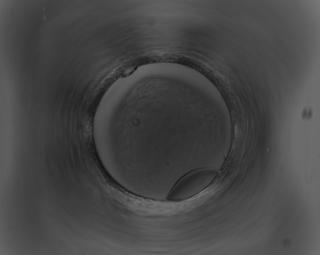 X0000095520048200801041233