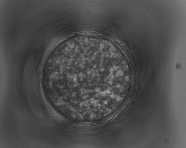 X0000095520049200801041232