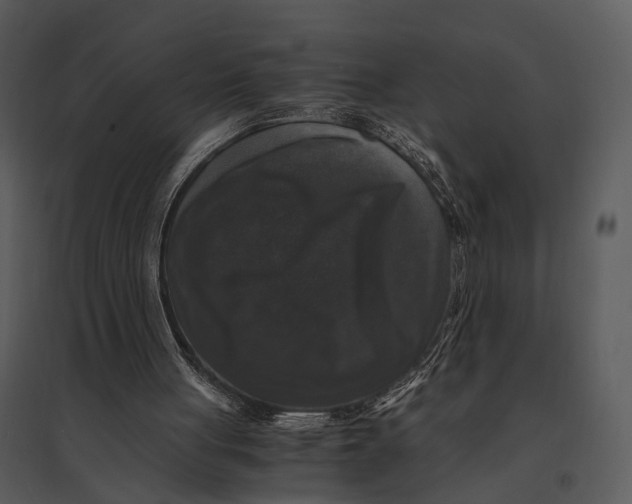 X0000095520051200801041232