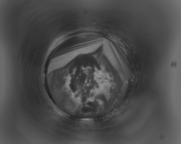 X0000095520053200801041232