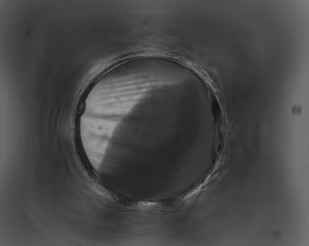 X0000095520055200801041232