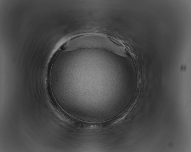 X0000095520056200801041232