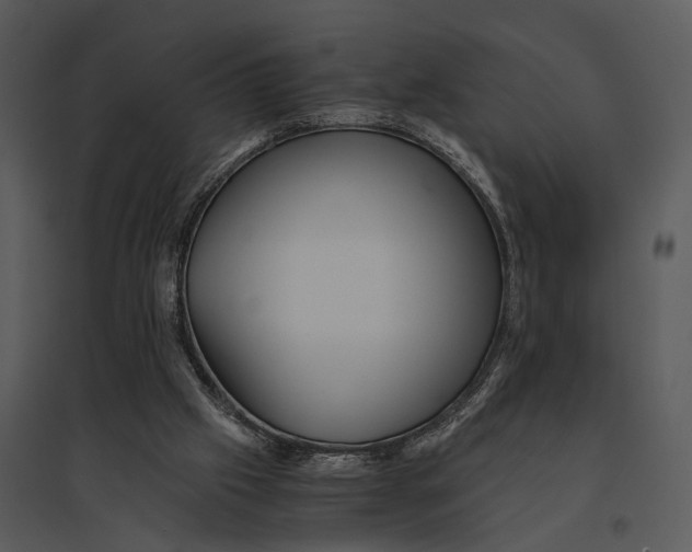 X0000095520057200801041232