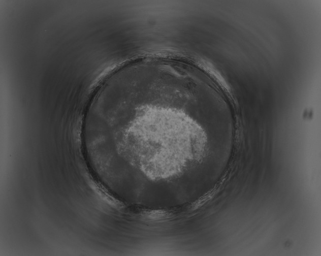 X0000095520058200801041232